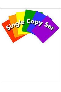 When Things Go Wrong Single Copy Set