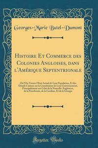 Histoire Et Commerce Des Colonies Angloises, Dans l'AmÃ©rique Septentrionale: OÃ¹ l'On Trouve l'Ã?tat Actuel de Leur Population, Et Des DÃ©tails Curieux Sur La Constitution de Leur Gouvernement, Principalement Sur Celui de la Nouvelle-Angleterre, d