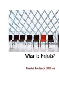 What Is Malaria?