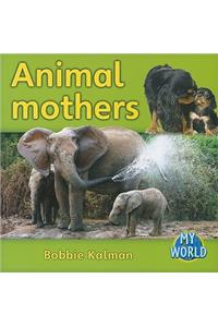Animal mothers