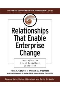 Relationships That Enable Enterprise Change: Leveraging the Client-Consultant Connection