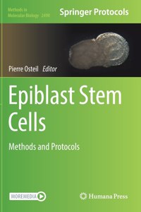 Epiblast Stem Cells