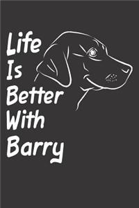 Life Is Better With Barry