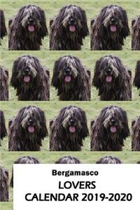 Bergamasco Lovers Calendar 2019-2020