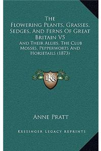 Flowering Plants, Grasses, Sedges, And Ferns Of Great Britain V5