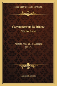 Commentarius De Itinere Neapolitano