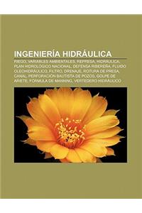 Ingenieria Hidraulica: Riego, Variables Ambientales, Represa, Hidraulica, Plan Hidrologico Nacional, Defensa Riberena, Fluido Oleohidraulico