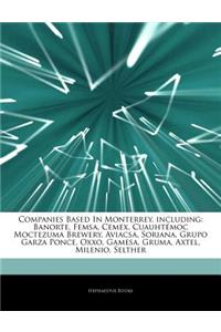 Articles on Companies Based in Monterrey, Including: Banorte, Femsa, Cemex, Cuauht Moc Moctezuma Brewery, Aviacsa, Soriana, Grupo Garza Ponce, Oxxo, G