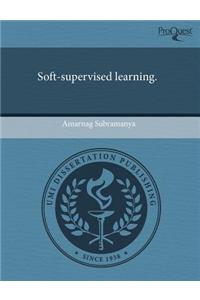 Soft-Supervised Learning