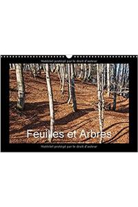 Feuilles et Arbres 2017