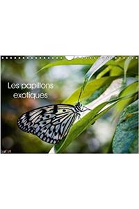 Les Papillons Exotiques 2018