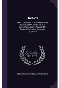 Orchids