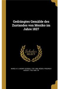 Gedrangtes Gemalde Des Zustandes Von Mexiko Im Jahre 1827