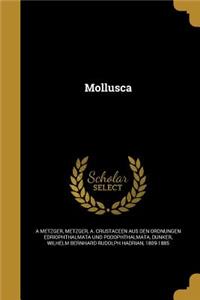 Mollusca