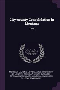 City-County Consolidation in Montana