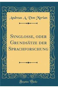 Synglosse, Oder Grundsätze Der Sprachforschung (Classic Reprint)