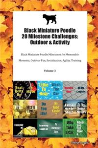 Black Miniature Poodle 20 Milestone Challenges