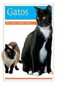 Gatos (Cats)
