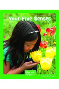 Your Five Senses
