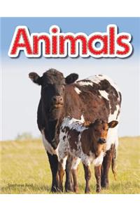 Animals Lap Book