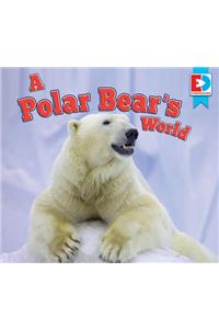 Polar Bear's World