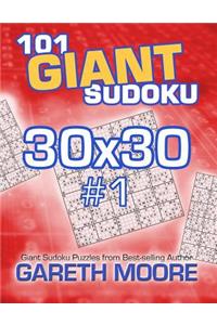 101 Giant Sudoku 30x30 #1