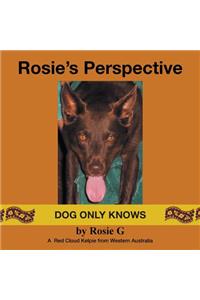 Rosie's Perspective