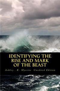 Identifying the Rise and Mark of The Beast