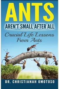 Ants Aren't Small After All