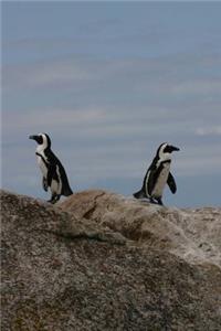 Two Penguins on a Rock Journal: 150 Page Lined Notebook/Diary