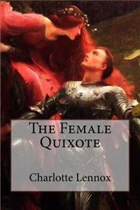 Female Quixote