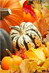 Journal Fall Theme Decorations Pumpkin Gourds Leaves