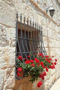 A Wrought Iron Window Grille and Red Geraniums Journal
