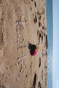 Aloha from Hawaii in the Sand Journal