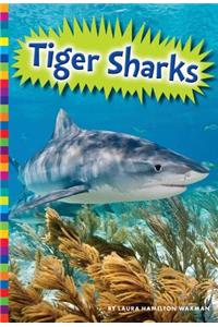 Tiger Sharks