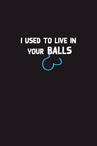 I Used To Live In Your Balls