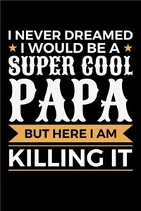 I Never Dreamed I would Be A Super Cool Papa But Here I Am Killing It