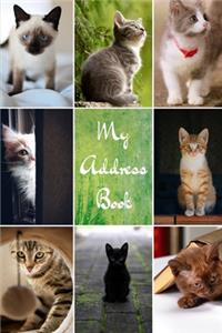 My Address Book