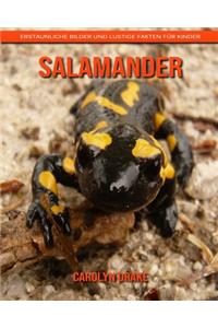 Salamander