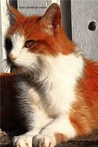 Chat Carnet de notes