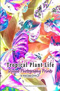 Tropical Plant Life Divine Photography Prints