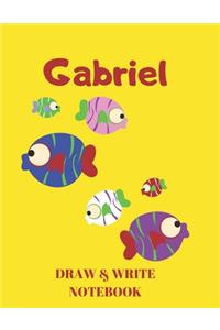 Gabriel Draw & Write Notebook