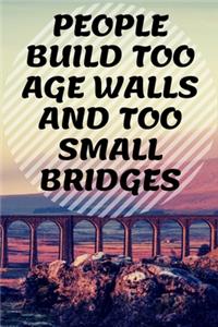 People Build Too Age Walls and Too Small Bridges