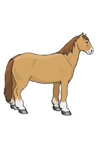 2020 Weekly Planner Horse Illustration Equine Shaggy Chestnut Horse 134 Pages