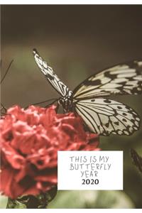 This Is My Butterfly Year