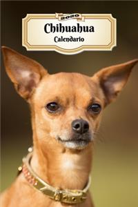 2020 Chihuahua Calendario: 107 Páginas Tamaño A5 Planificador Semanal 12 Meses 1 Semana en 2 Páginas Agenda Semana Vista Tapa Blanda Perro