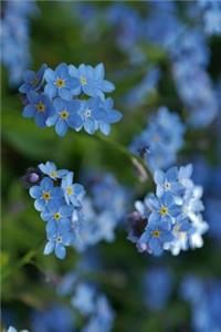 Forget Me Not Flowers in the Wild Up Close Journal