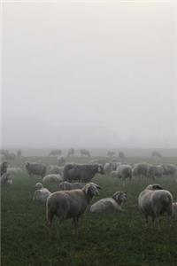 Scotland Sheep in the Fog in Scotland Journal