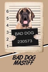 Bad Dog Mastiff