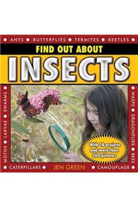 Find Out about Insects